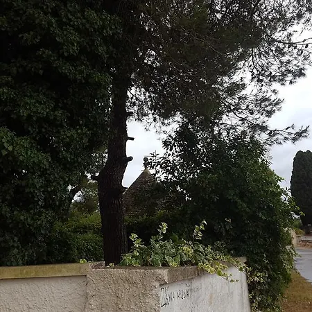 Casa vacanze Trullo Elvira Alberobello