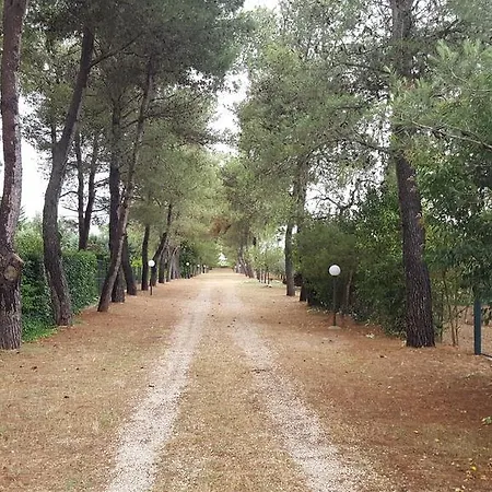 Casa vacanze Trullo Elvira