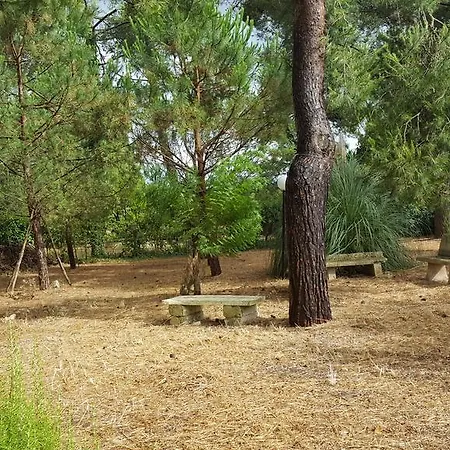Trullo Elvira