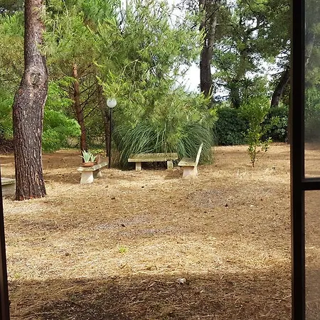 Trullo Elvira Casa vacanze *