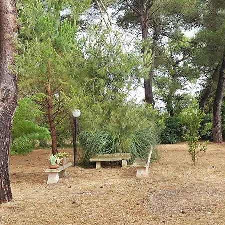 Casa vacanze Trullo Elvira Alberobello